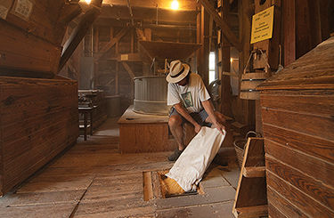 Old Wye Grist Mill still grinding after all these years